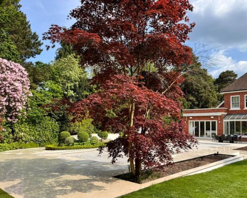 surrey garden design ideas