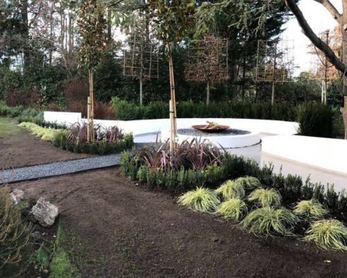 low-maintenance plants